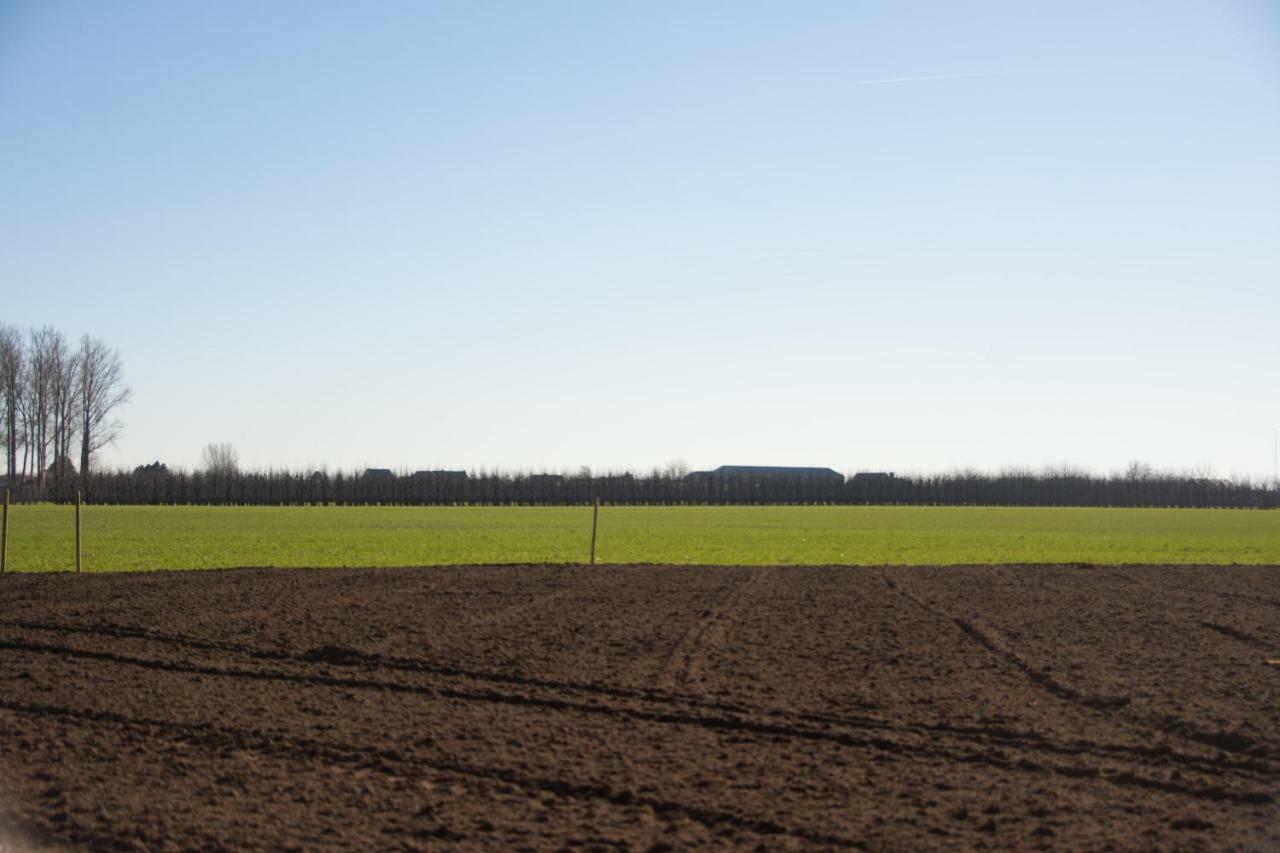 Villa 'Op De Borgt' Met Finse Grill Kota Wellen Exterior foto